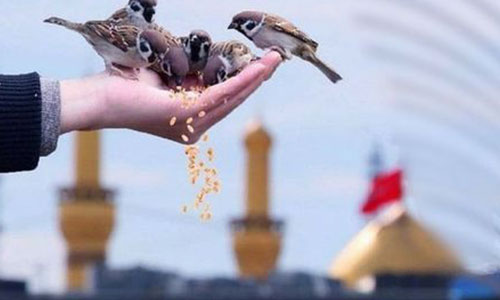 تور مشهد با قطار همدان